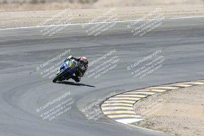 media/Apr-20-2025-CVMA (Sun) [[39090e8767]]/Race 11-500-350 Supersport (Holeshot)/